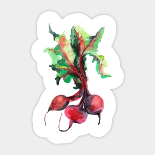Beet Root Sticker